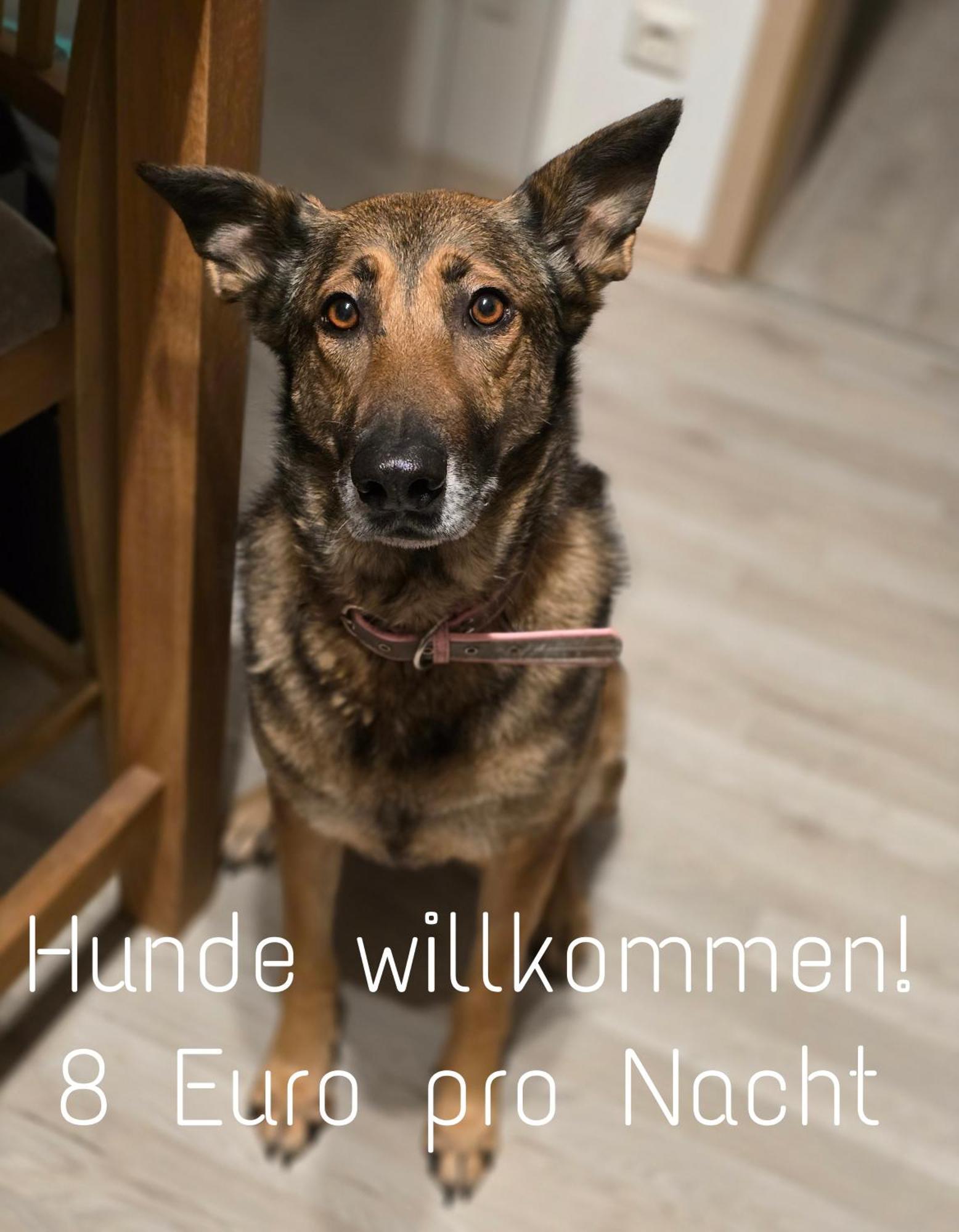 Ferienwohnung Roessewiese Schleusingen المظهر الخارجي الصورة